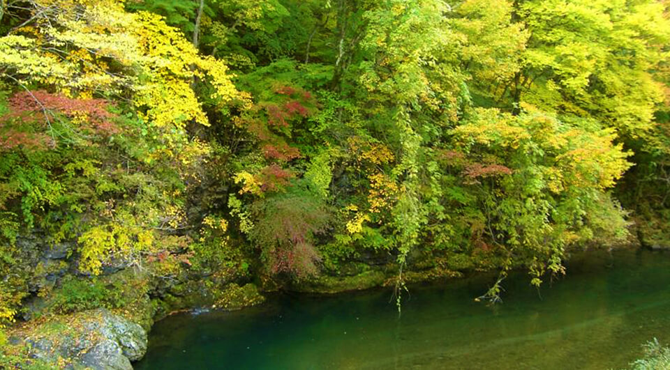 日義 巴淵ともえがふち