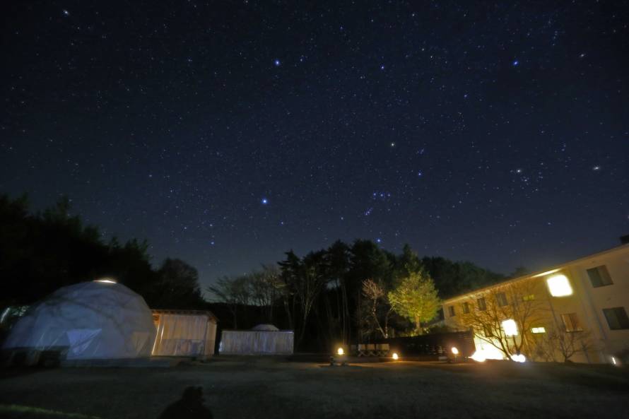 4月は！こと座流星群が観測できるかもしれません。